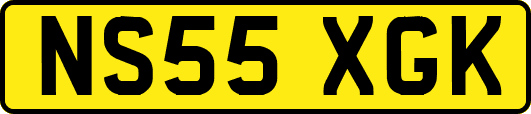 NS55XGK