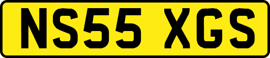 NS55XGS