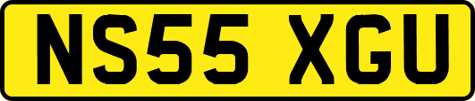 NS55XGU