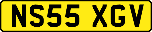 NS55XGV