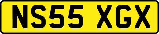 NS55XGX