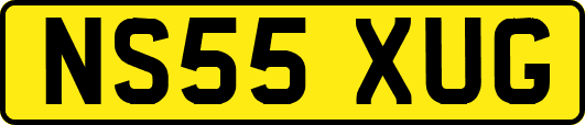 NS55XUG