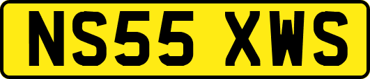 NS55XWS