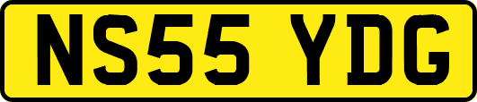 NS55YDG
