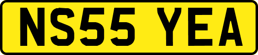 NS55YEA