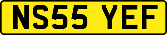 NS55YEF
