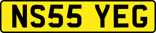 NS55YEG