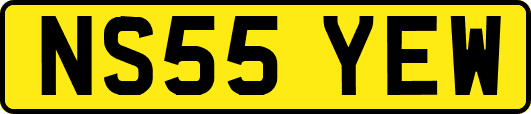 NS55YEW