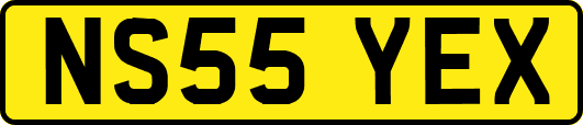 NS55YEX