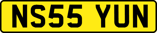 NS55YUN
