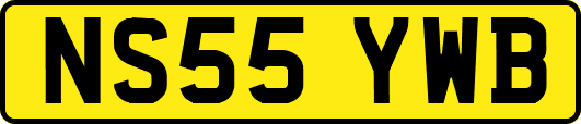 NS55YWB