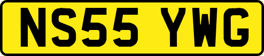 NS55YWG