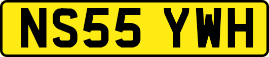 NS55YWH