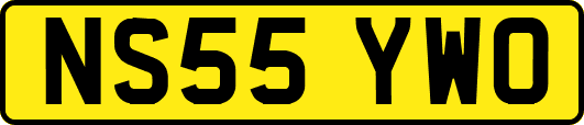 NS55YWO
