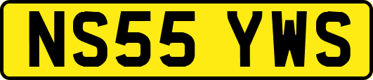 NS55YWS