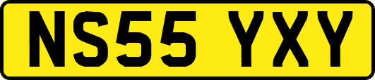 NS55YXY