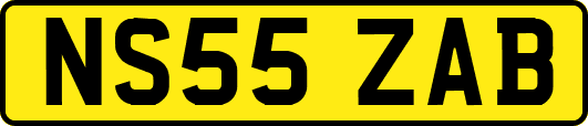 NS55ZAB