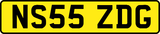 NS55ZDG