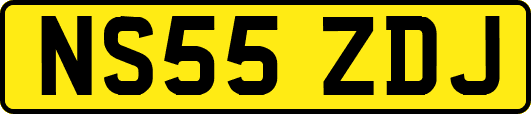 NS55ZDJ