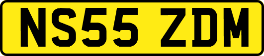 NS55ZDM