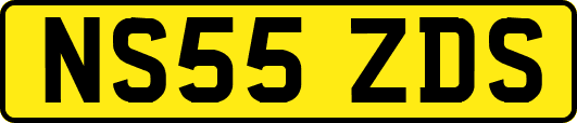 NS55ZDS