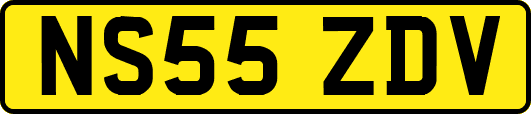 NS55ZDV