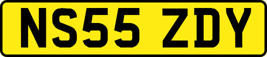 NS55ZDY