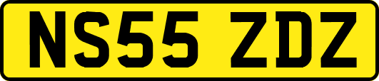 NS55ZDZ