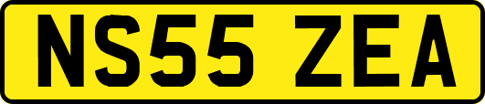 NS55ZEA