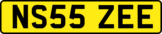 NS55ZEE