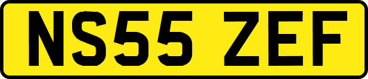 NS55ZEF