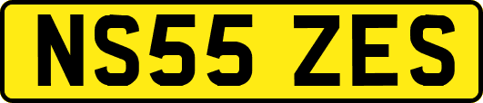NS55ZES