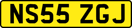 NS55ZGJ