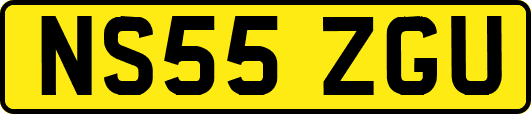 NS55ZGU