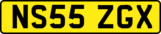 NS55ZGX