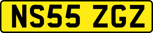 NS55ZGZ