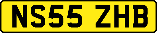 NS55ZHB