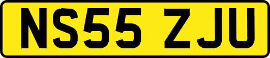 NS55ZJU