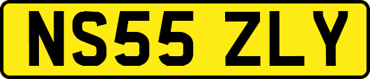 NS55ZLY
