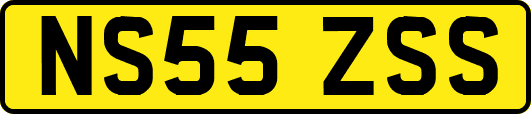 NS55ZSS