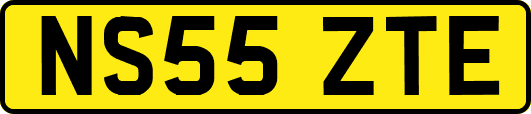 NS55ZTE