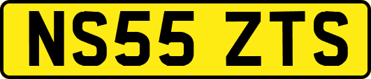 NS55ZTS