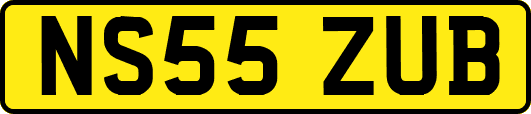 NS55ZUB