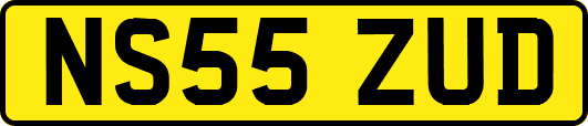 NS55ZUD