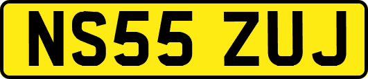 NS55ZUJ