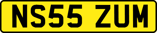 NS55ZUM