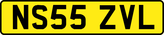 NS55ZVL