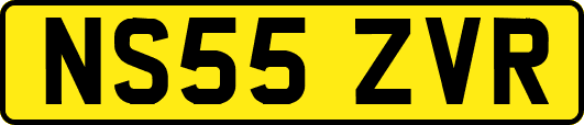 NS55ZVR