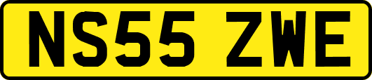 NS55ZWE