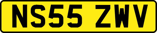 NS55ZWV
